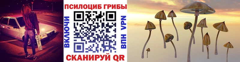 купить закладку  Нижние Серги  Галлюциногенные грибы Psilocybe 